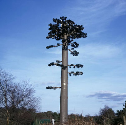 Bionischer Baum-einröhriger Tarnungs-Zellturm ANSI