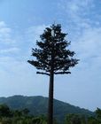 Langlebiger 50m getarnter Handy-Turm-Baum