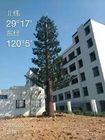 Langlebiger 50m getarnter Handy-Turm-Baum