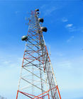 30 Meter G-/Mantennen-gefälschter Palme-Handy-Turm