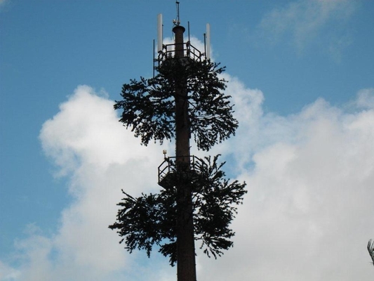 Tarnungs-Zellturm der Kiefer-50m für Telekommunikation