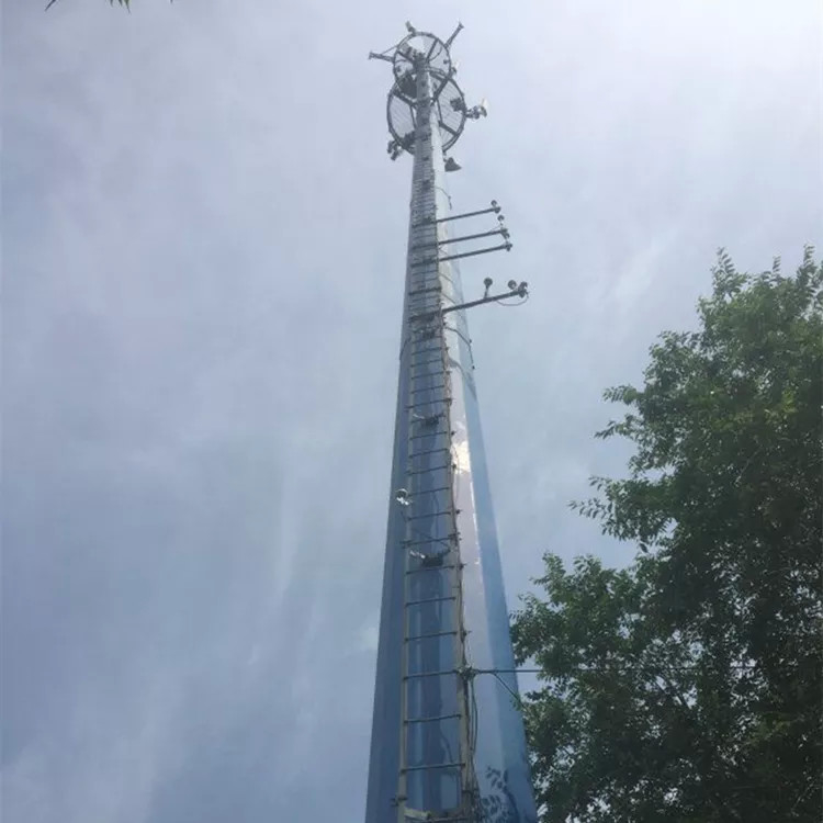 100ft Monopole Stahlturm-Mobilhandy zugespitzt/geflanscht