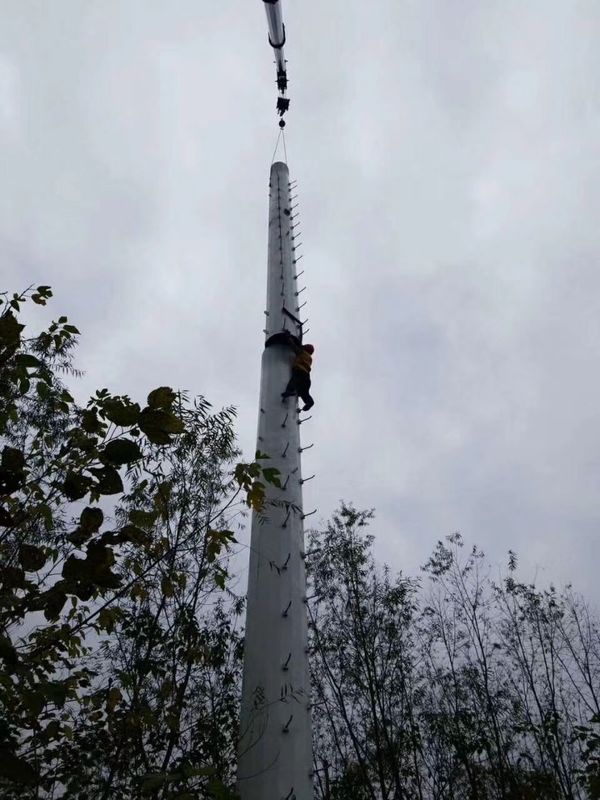Achteckige Antenne 15M Monopole Telecommunications Tower Pole der Industrie-Q235 für Sendung